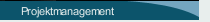 Projektmanagement